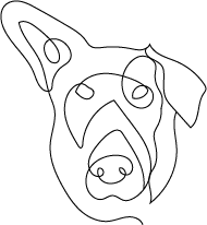 icon-black-PumasLeinen