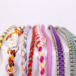 paracord-hundeleinen-vielfalt