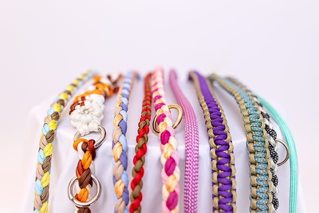 paracord-hundeleinen-vielfalt