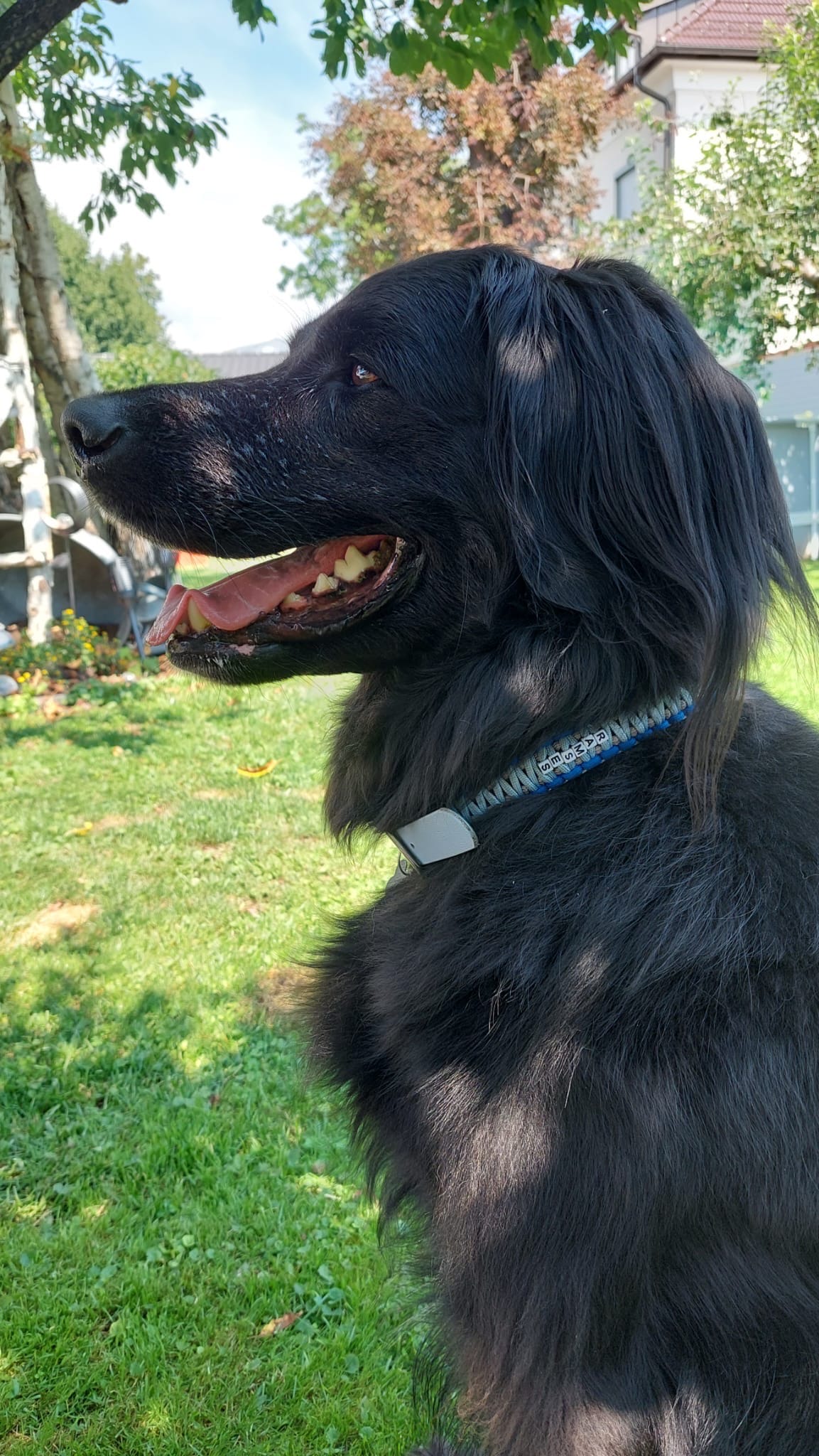 Rezensionsfoto Elena G.