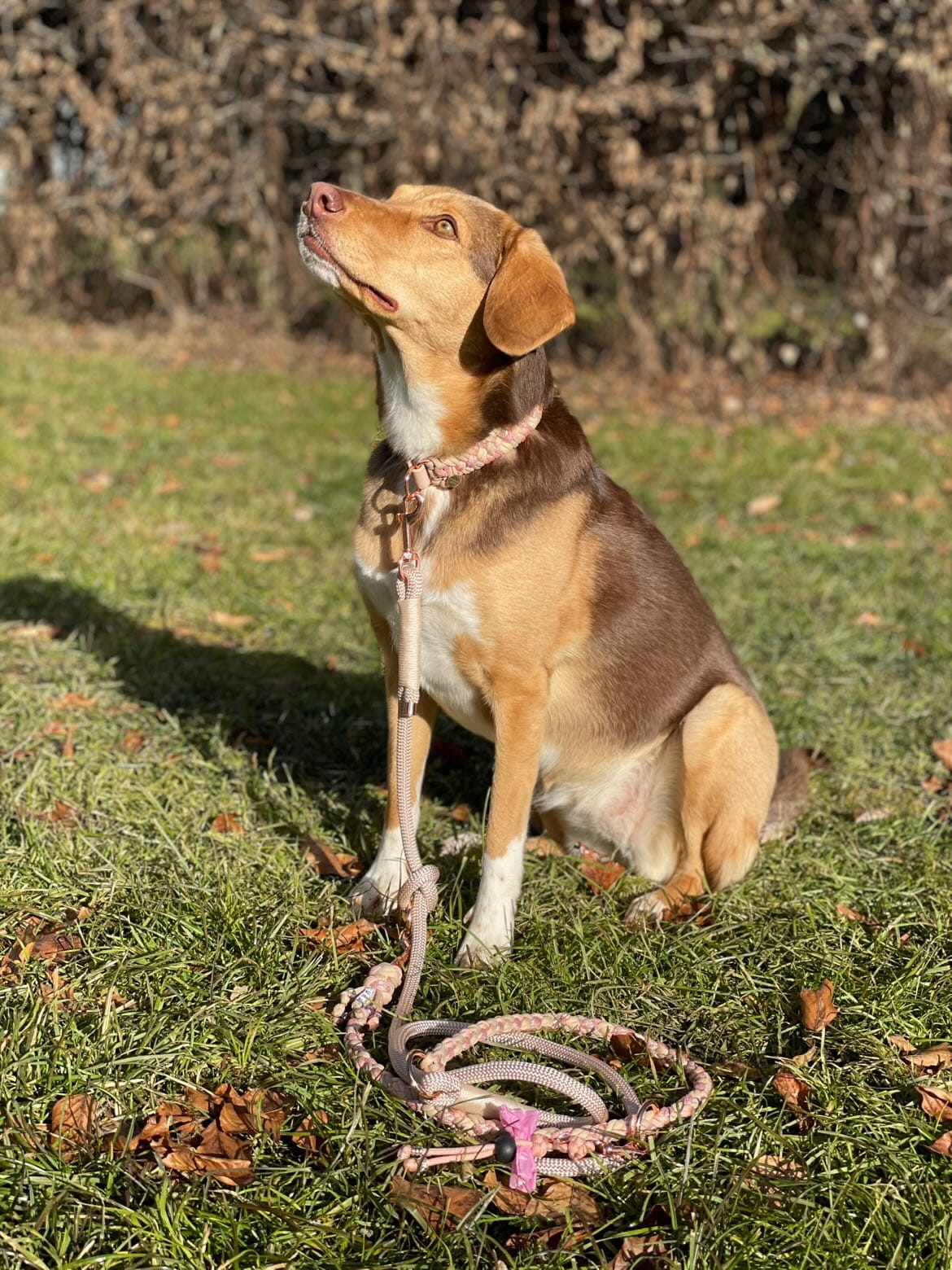 Rezensionsfoto Elena T.