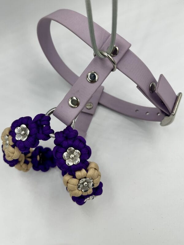 paracord-hundegeschirr-amys-bloom