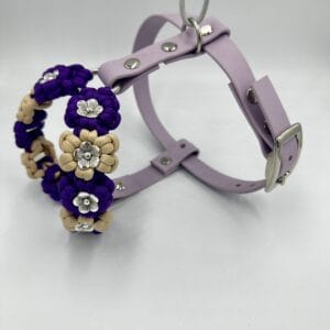 paracord-hundegeschirr-amys-bloom