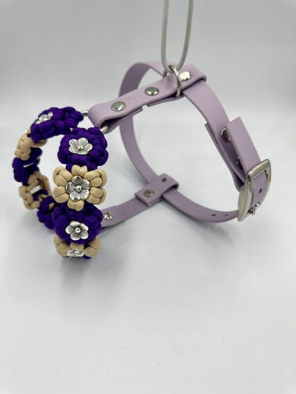 paracord-hundegeschirr-amys-bloom
