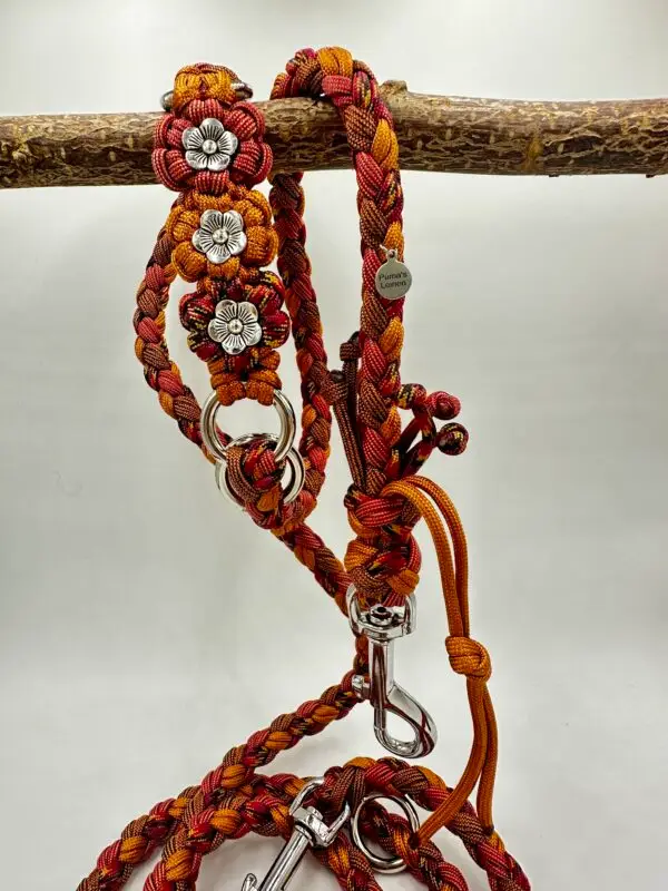 paracord-leine-charlies-bloom