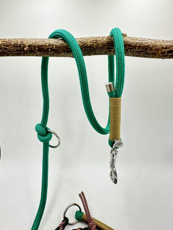 tau-leine-xenias-pawrope