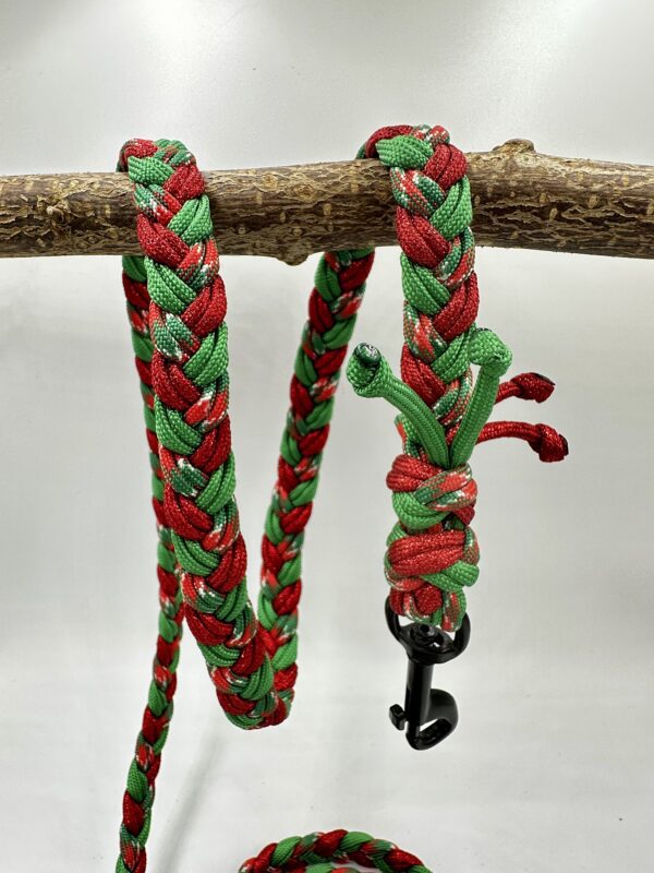 xenia´s triple leash