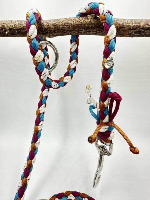 paracord-leine-buddys-fourbraid